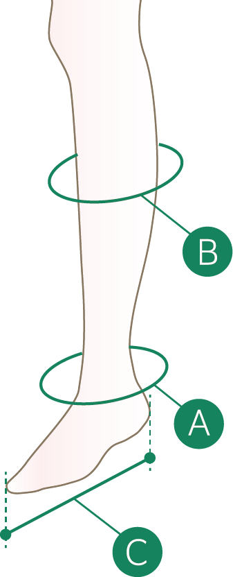 図：足首周囲・ふくらはぎ周囲・足長の計測位置