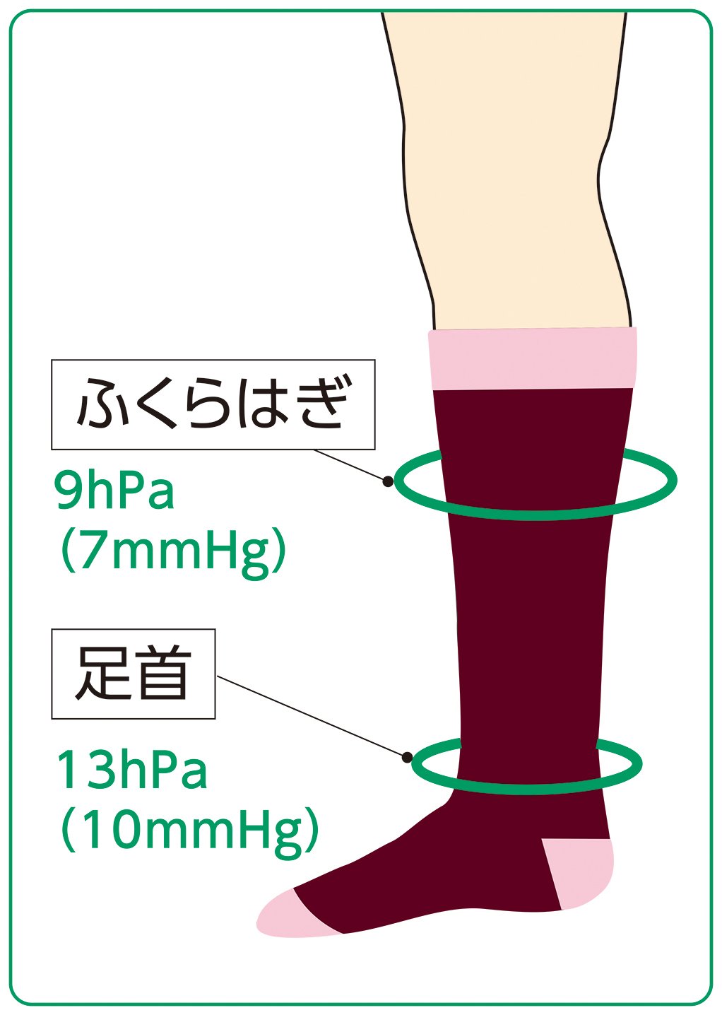 〈アンシルク・きらり〉の経度圧迫圧について