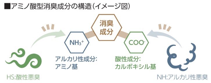 アミノ酸型消臭成分の構造（イメージ図）