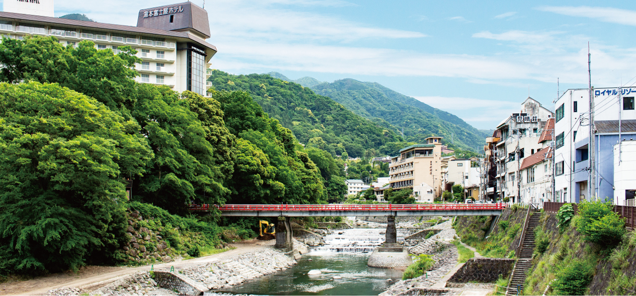 箱根湯本のあじさい橋