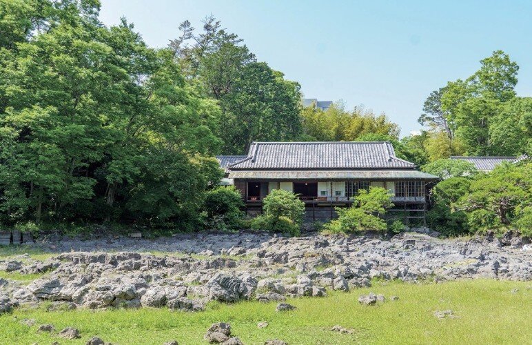 楽寿園・小浜池