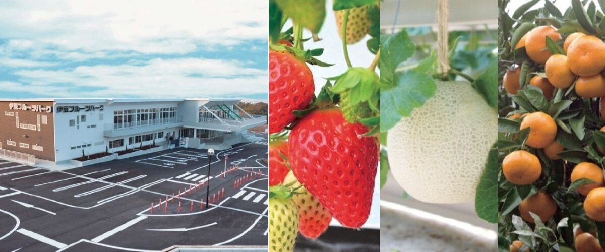 伊豆フルーツパーク