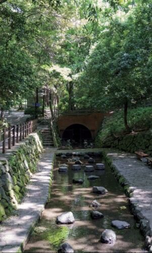 柿田川公園・湧水広場