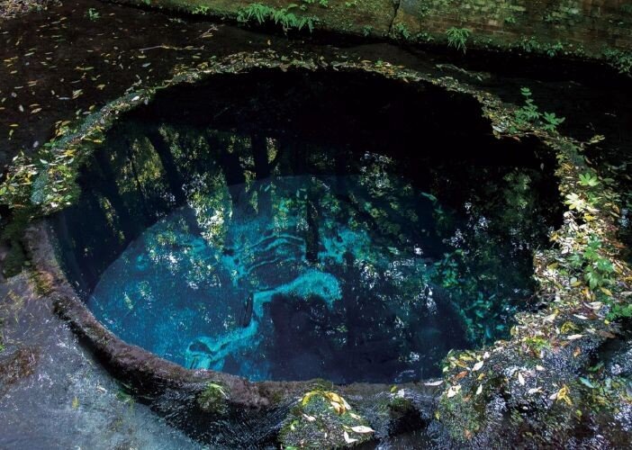 柿田川公園・ブルーホール