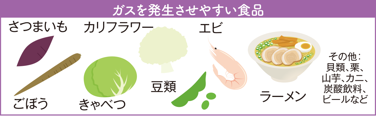 ガスを発生させやすい食品：さつまいも、ごぼう、きゃべつ、カリフラワー、豆類、エビ、ラーメン、貝類、栗、山芋、カニ、炭酸飲料、ビールなど