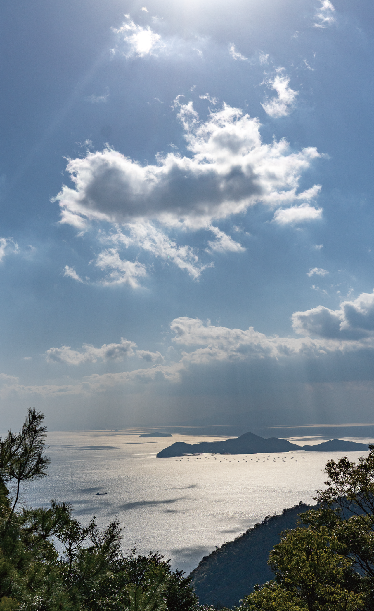 山道からの景色